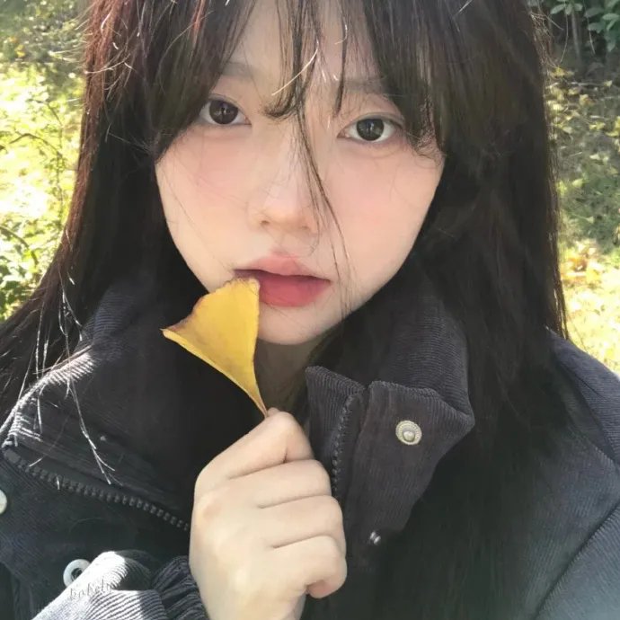 淑女宠爱